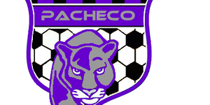 Soccer image