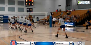 Volleyball image