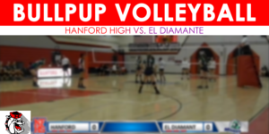 Volleyball image