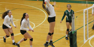 Volleyball image