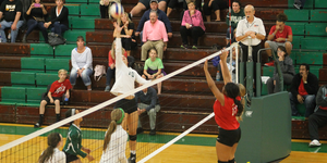 Volleyball image