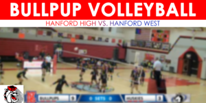 Volleyball image