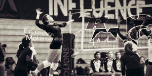Volleyball image