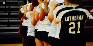 Volleyball image