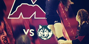 Volleyball image