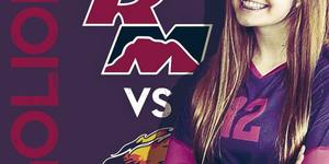 Volleyball image