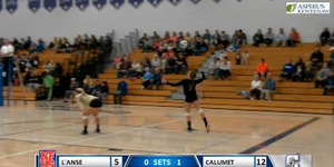 Volleyball image