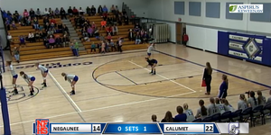 Volleyball image
