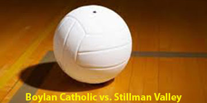 Volleyball image