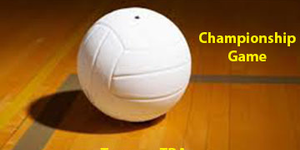 Volleyball image