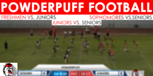 Powder Puff image
