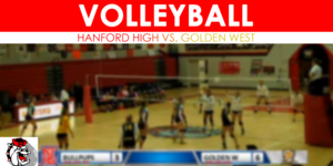 Volleyball image