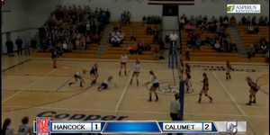Volleyball image