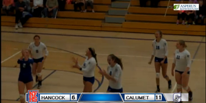 Volleyball image