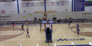 Volleyball image