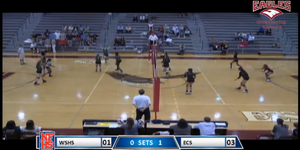 Volleyball image