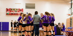 Volleyball image