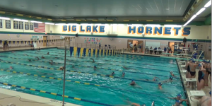 Swimming And Diving image