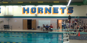 Swimming And Diving image