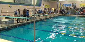 Swimming and Diving image