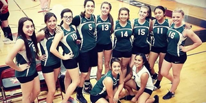 Volleyball image