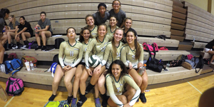 Volleyball image