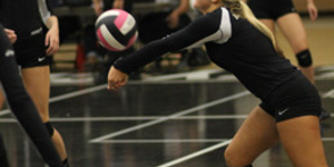 Volleyball image