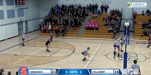 Volleyball image
