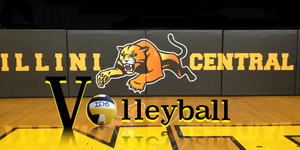 Volleyball image