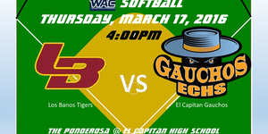 Softball image