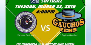 Softball image