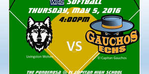 Softball image