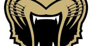 Varsity Boys Baseball image