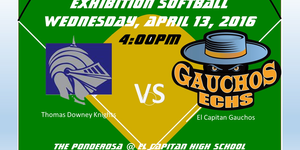 Varsity Girls Softball image