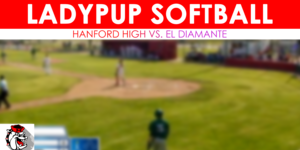 Varsity Girls Softball image