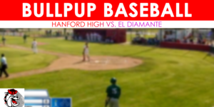 Varsity Boys Baseball image