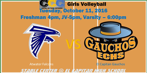 Varsity Girls Volleyball image