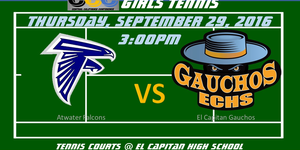 Varsity Girls Tennis image