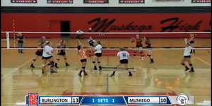 Volleyball image