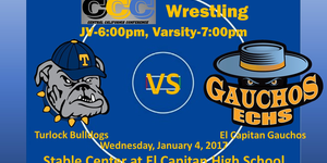 Varsity Coed Wrestling image