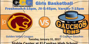 Varsity Girls Basketball image