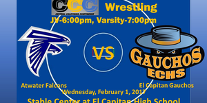 Varsity Coed Wrestling image