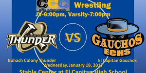 Varsity Coed Wrestling image