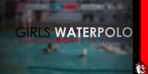 Water Polo image
