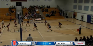 Volleyball image