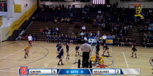 Volleyball image