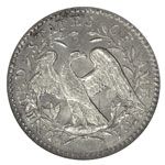 Flowing Hair Half Dimes - Flowing Hair H10C