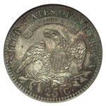 Large Size Capped Bust Quarters