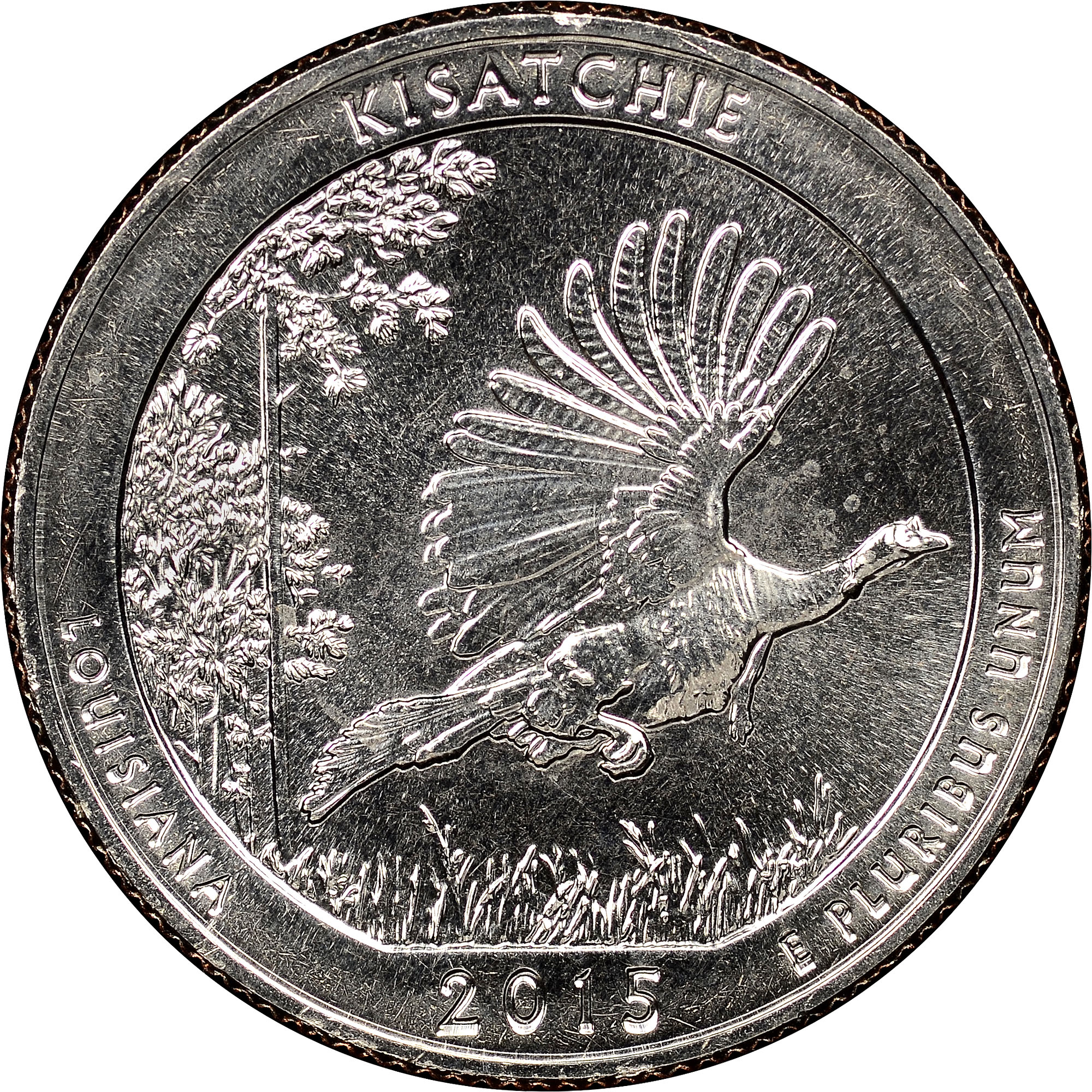 2015 D Kisatchie 25C MS America The Beautiful Quarters NGC