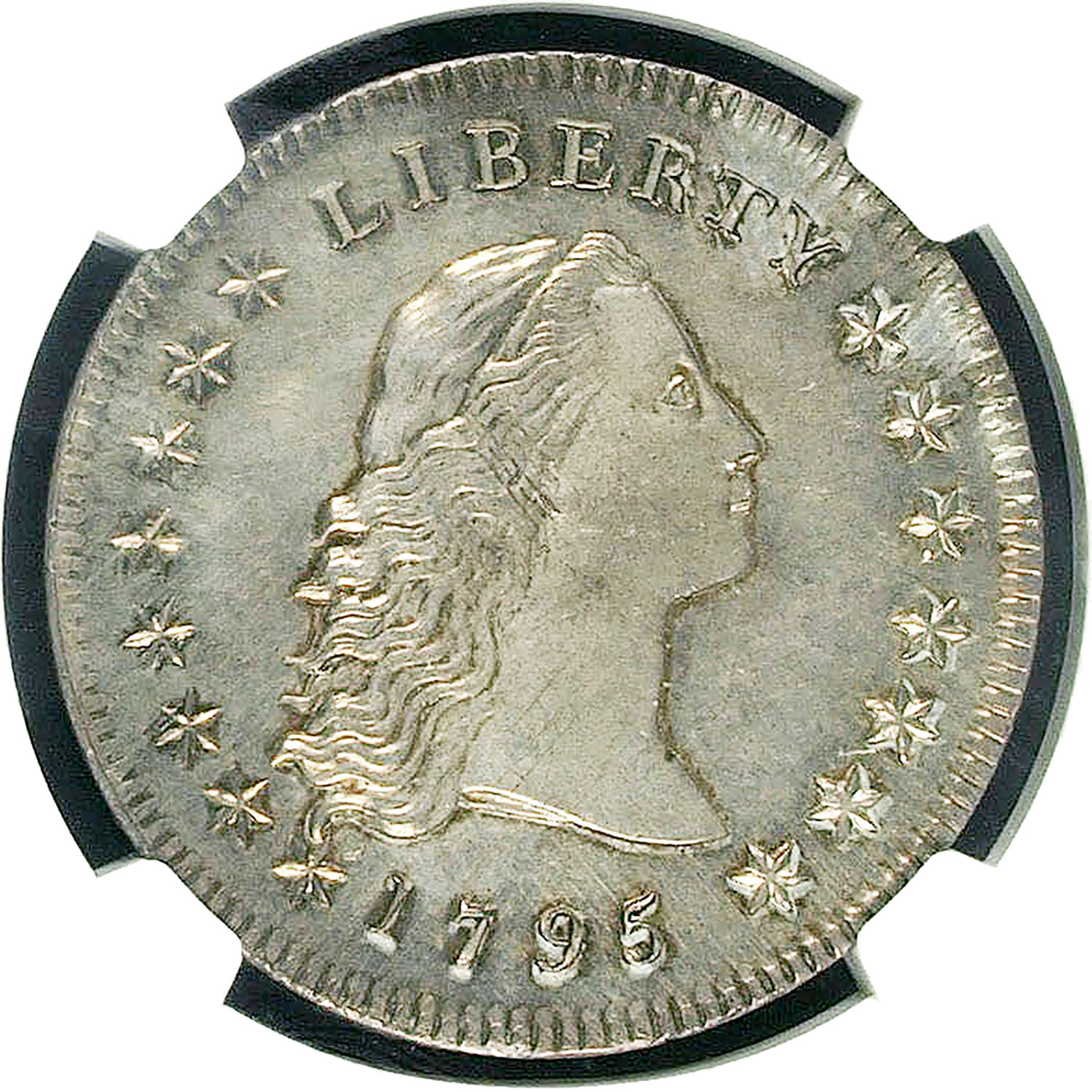 1795 FLOWING HAIR $1 SP | Coin Explorer | NGC